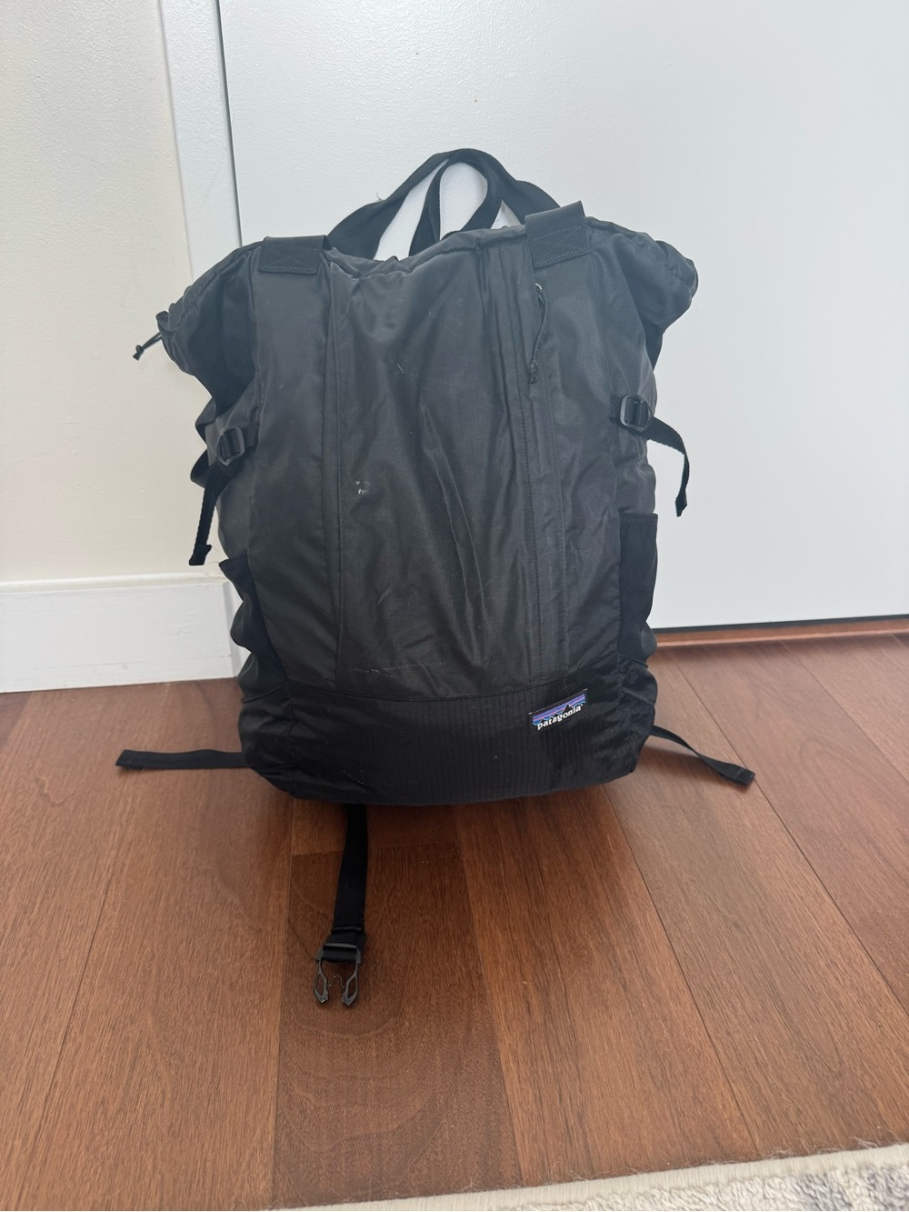 Patagonia Backpack Tote